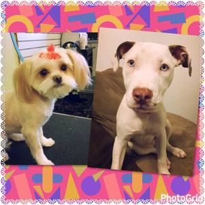 Meet your Posher, Keisha